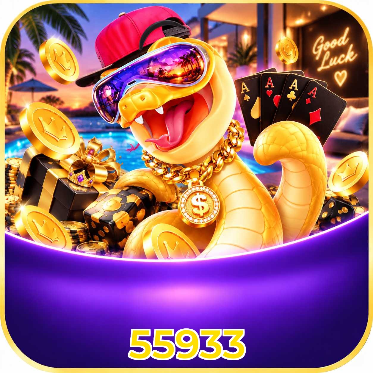 55933 VIP Program