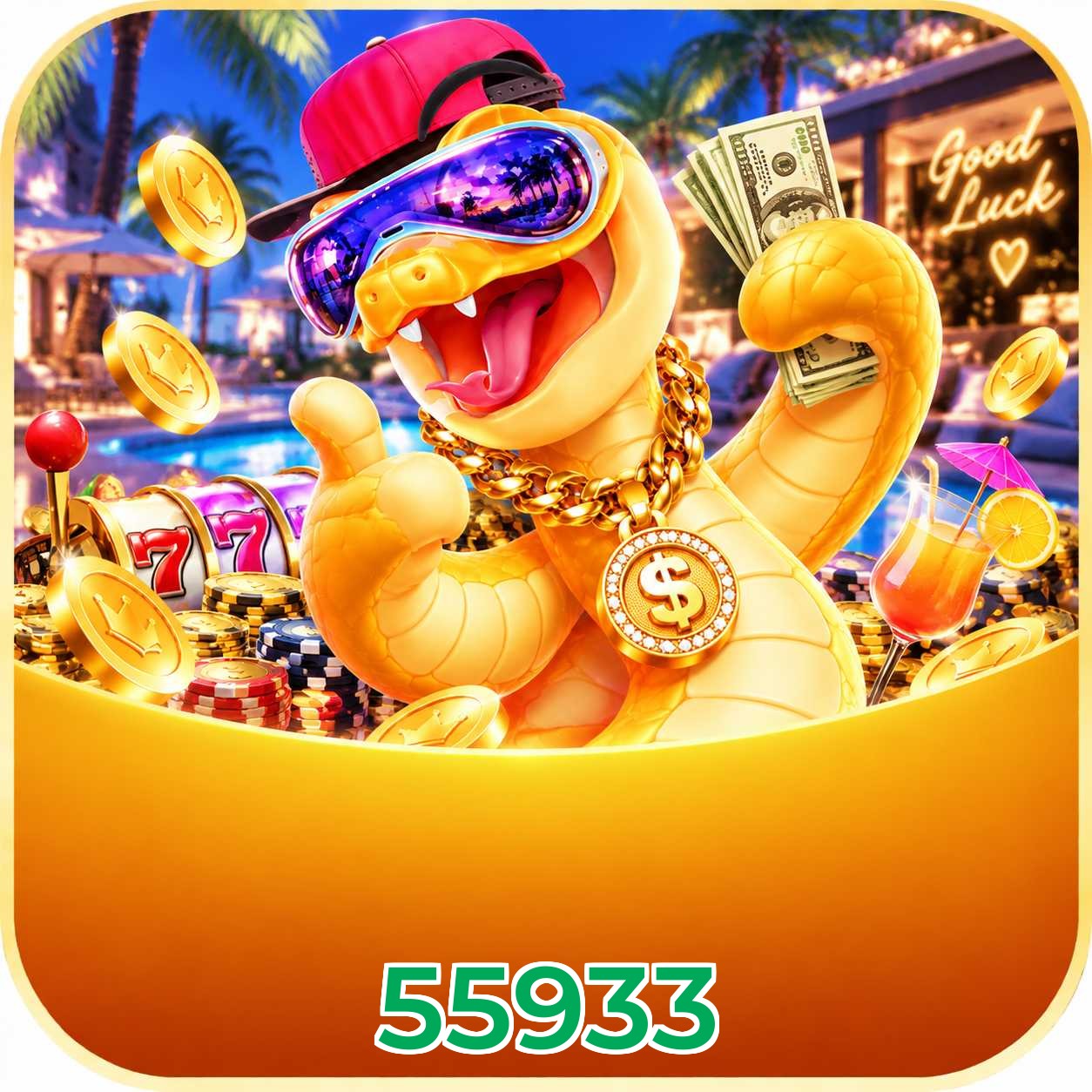 55933 FAQ